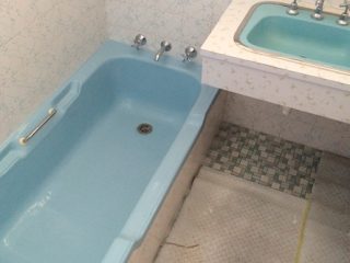 Powder blue BIB and HB-1